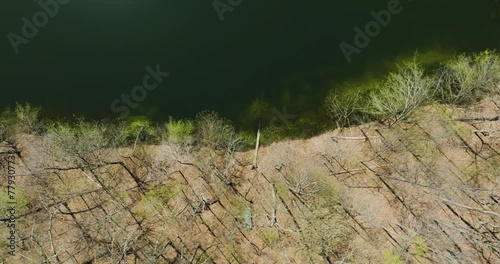 Trees On The Calm Shore Of Glen Springs Lake During Sunny Day In Tipton County, Tennessee, USA. Aerial Shot photo