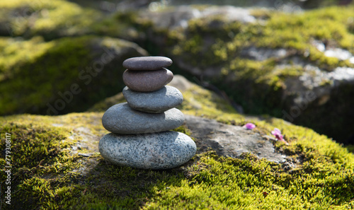 balance of nature