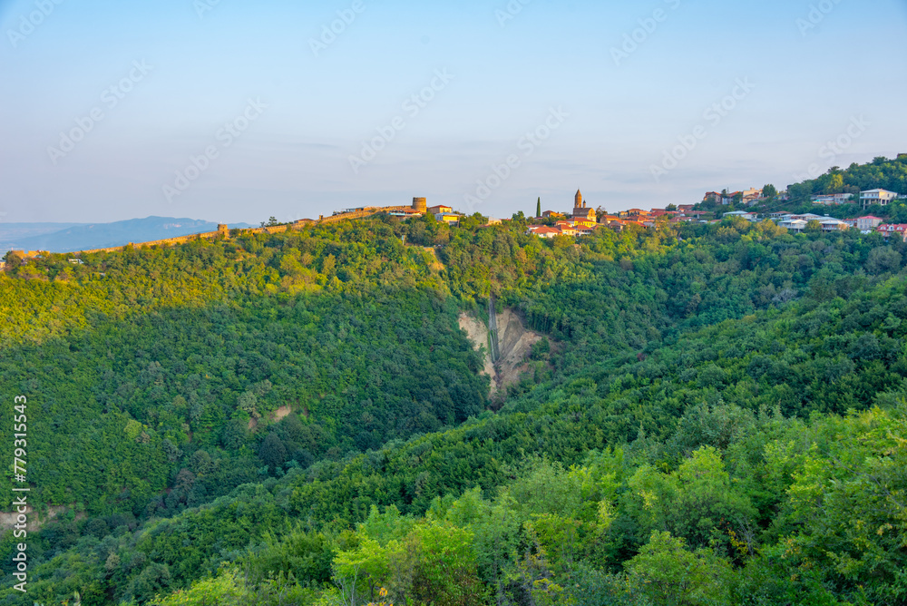 Fototapeta premium Panorama view of Sighnaghi town in Georgia
