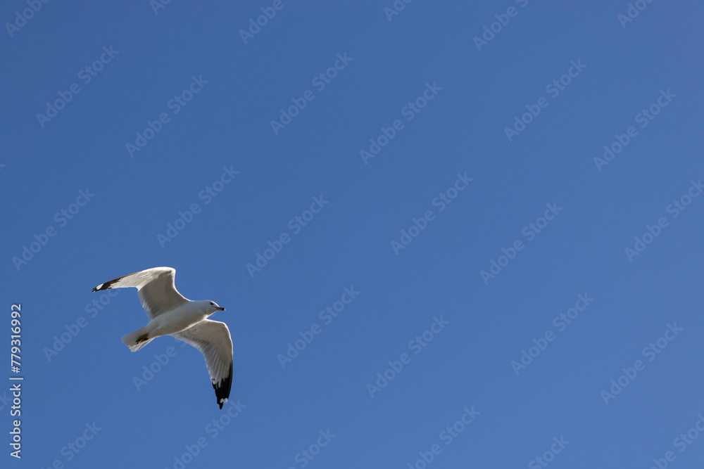 Obraz premium Great Lakes Waterfront Trail at Burlington