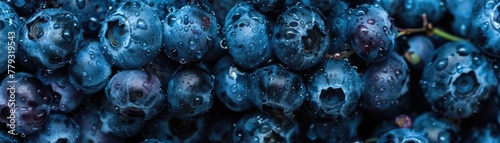 Detailed view of blueberry skin capturing the delicate balance between the dusty bloom and the underlying deep blue