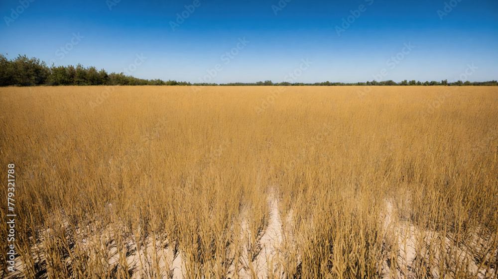 Background and texture patterns Background and texture patterns