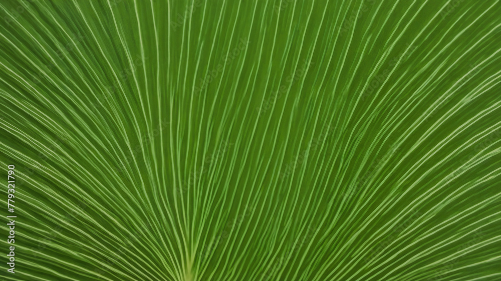 Background and texture patterns Background and texture patterns