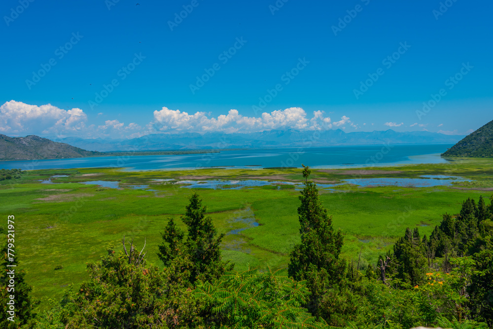 Obraz premium Panorama view of Skadar lake in Montenegro
