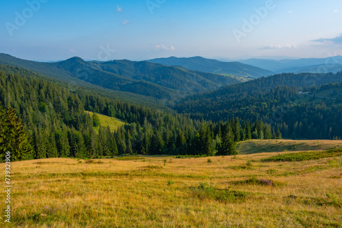 Summer day at Ciumarna pass in Romania