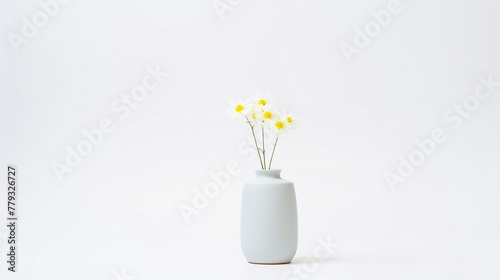 Minimalist flower vase isolated on white backgroundrealistic, business, seriously, mood and tone
