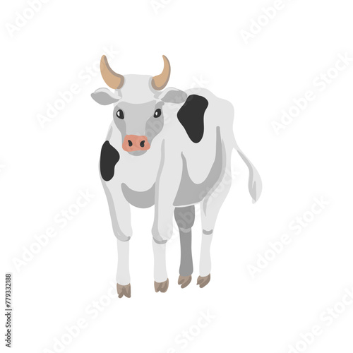 vector drawing white cow, farm animal isolated at white background, hand drawn illustration