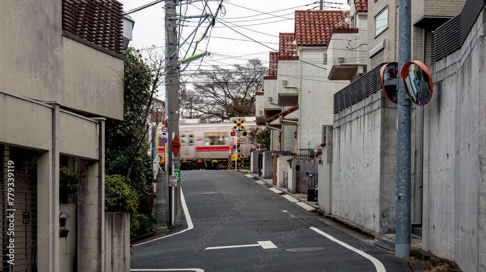 Obraz premium 踏切と電車