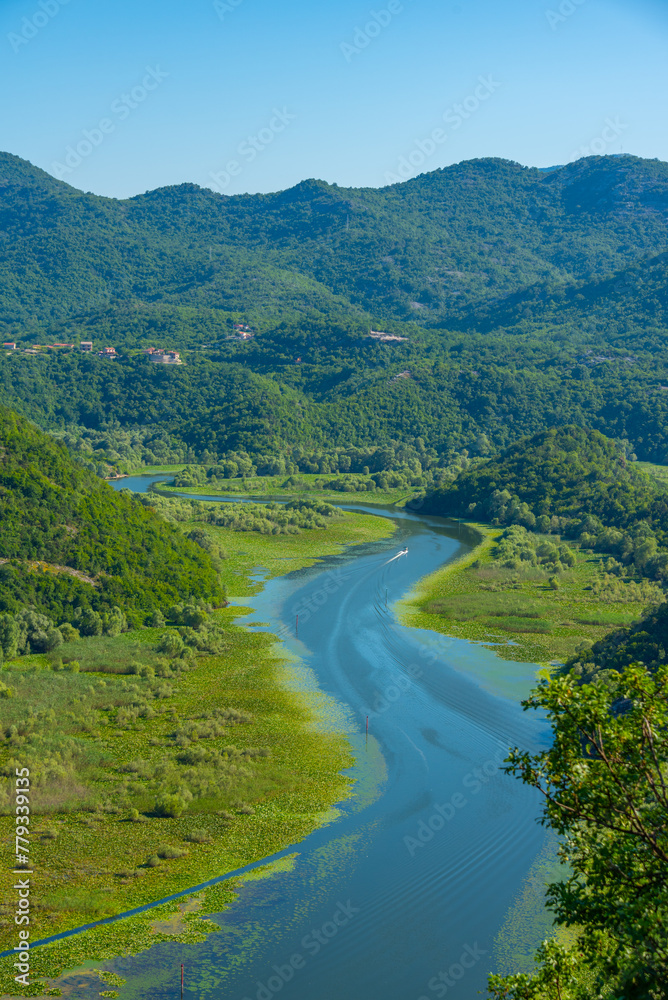 Fototapeta premium Meander of Rijeka Crnojevica river leading to Skadar lake in montenegro