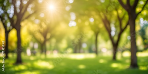 defocused bokeh background of garden trees in sunny day, summer and spring concept