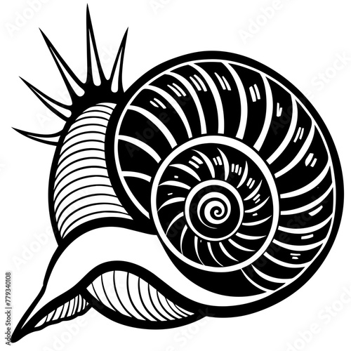       sea snail vector illustration
