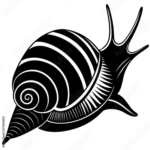       sea snail vector illustration
