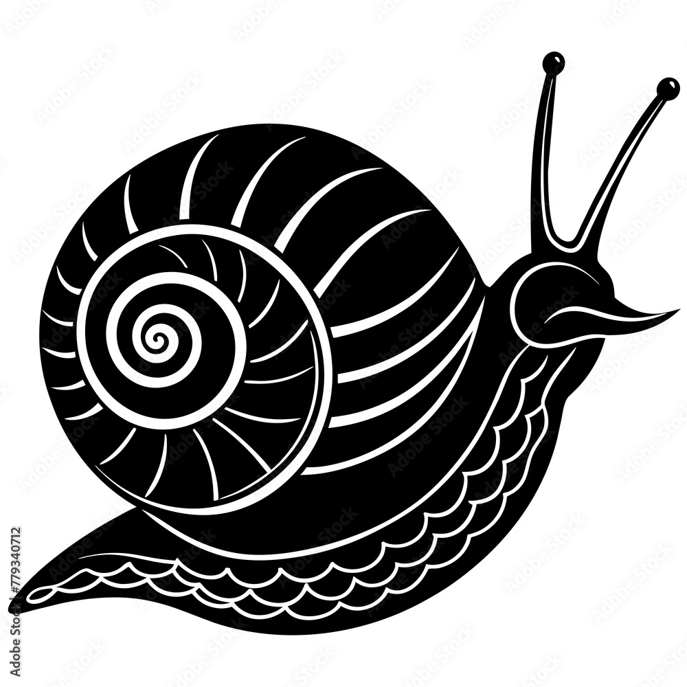       sea snail vector illustration
