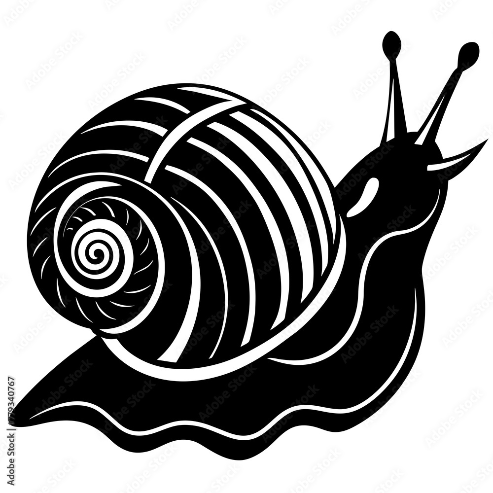       sea snail vector illustration
