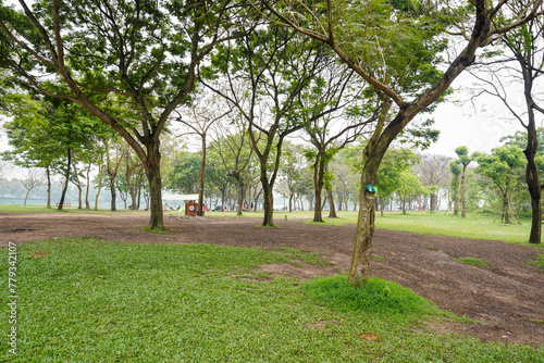 trees in the park © tuan