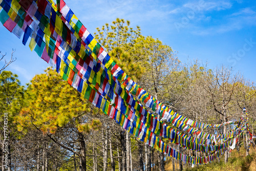 tibetan flags seen in champadevi trek, kathmandu