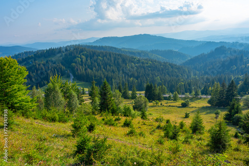Summer day at Ciumarna pass in Romania