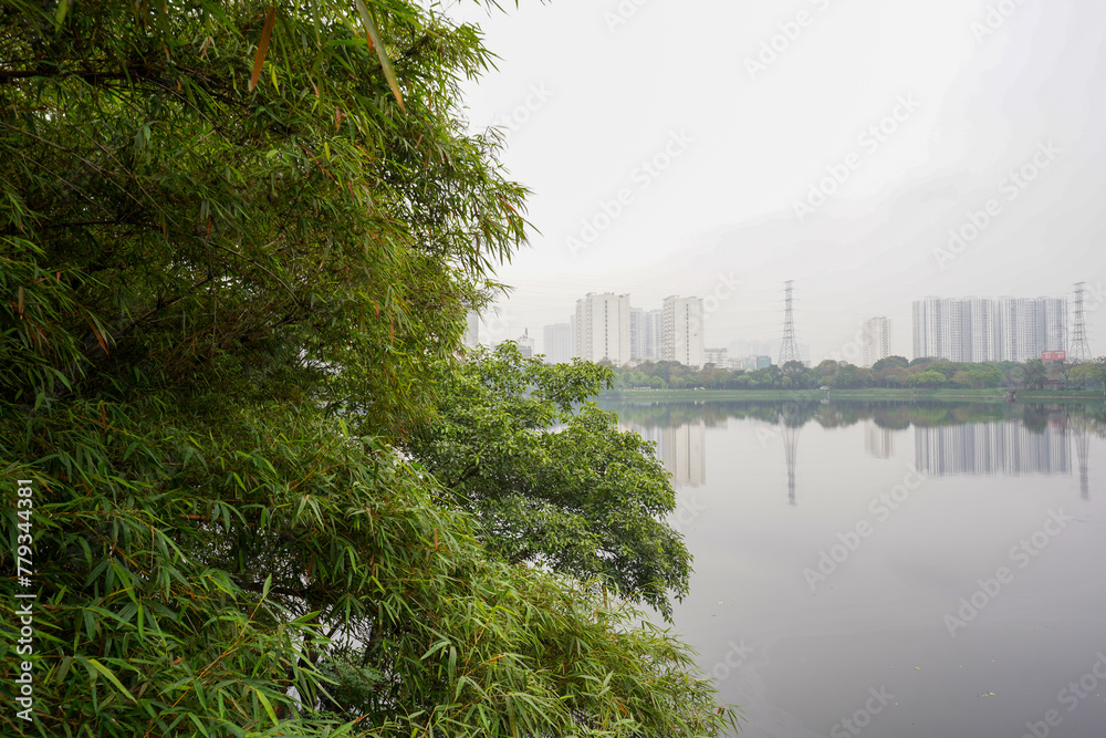 Fototapeta premium reflection of trees in the river