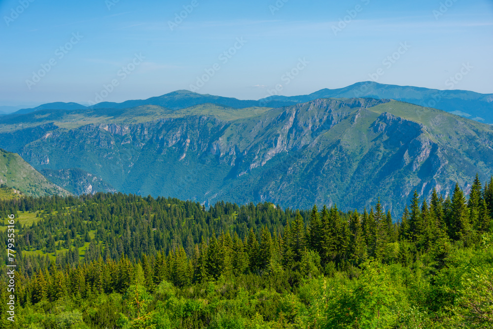 Obraz premium Tara river valley viewed from Durmitor national park in Montenegro