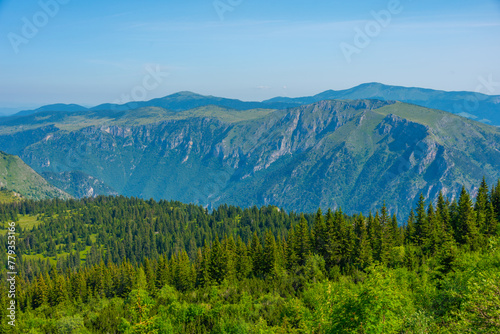 Tara river valley viewed from Durmitor national park in Montenegro