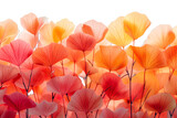 Vivid Floral Symphony. Vibrant watercolor background with orange flower petals isolated on a transparent background