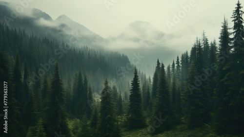 green forest in the mountains. © Shades3d