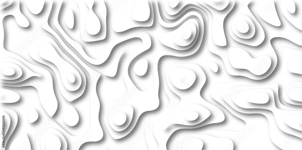 Abstract design with black and white abstract papercut and multi-layer cutout geometric pattern on vector Topographic canyon geometric map relief texture with curved layers beautiful design. Abstract design with black and white abstract papercut and multi-layer cutout geometric pattern on vector Topographic canyon geometric map relief texture with curved layers beautiful design.