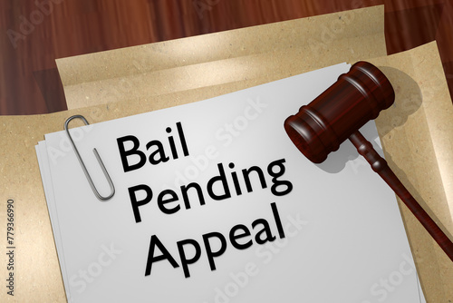 Bail Pending Appeal concept