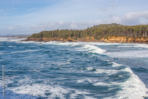Waves on the Boiler Bay State Park in Oregon, USA