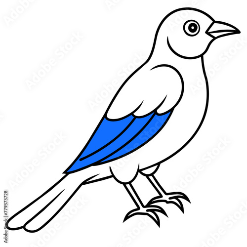 bluebird line art vector