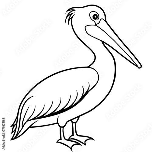 pelican line art vector