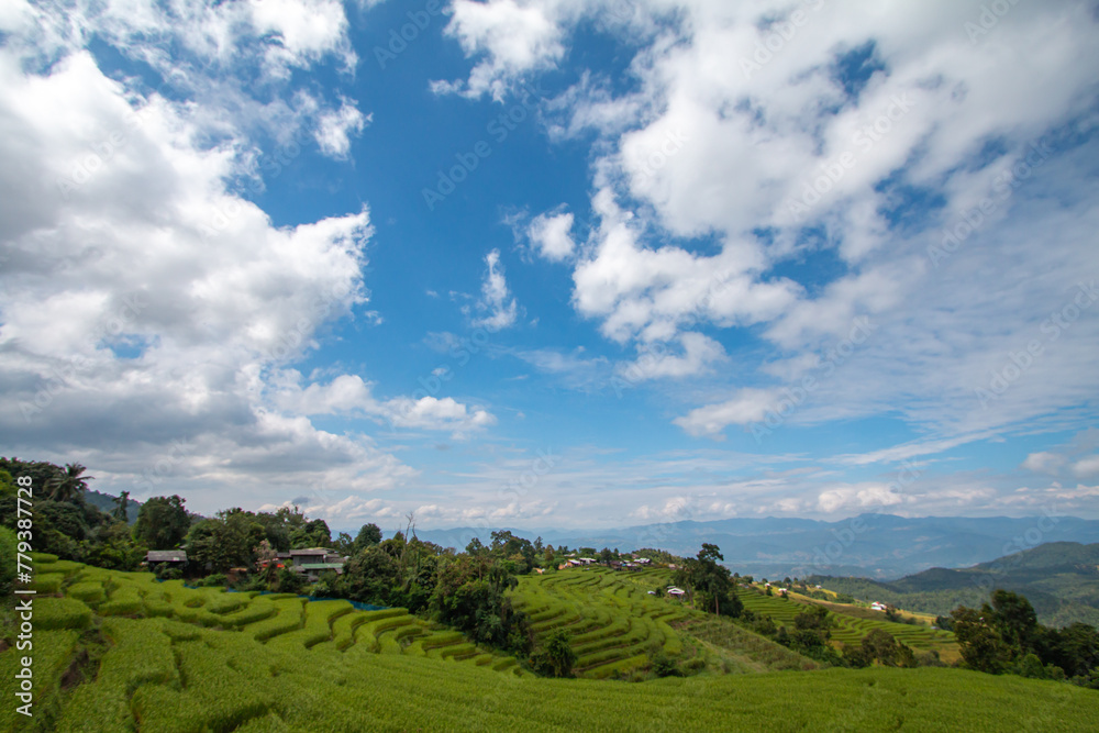 Rice terraces, local way of life