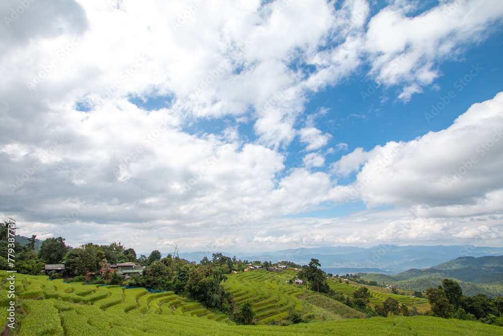 Rice terraces, local way of life