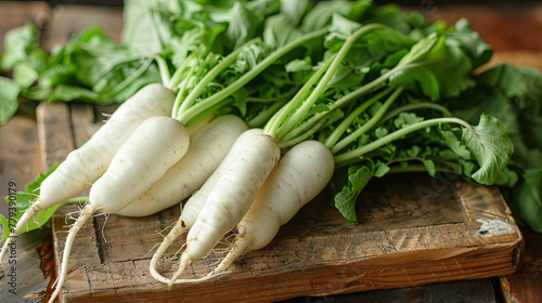 Cultivation of white radish, harvest time