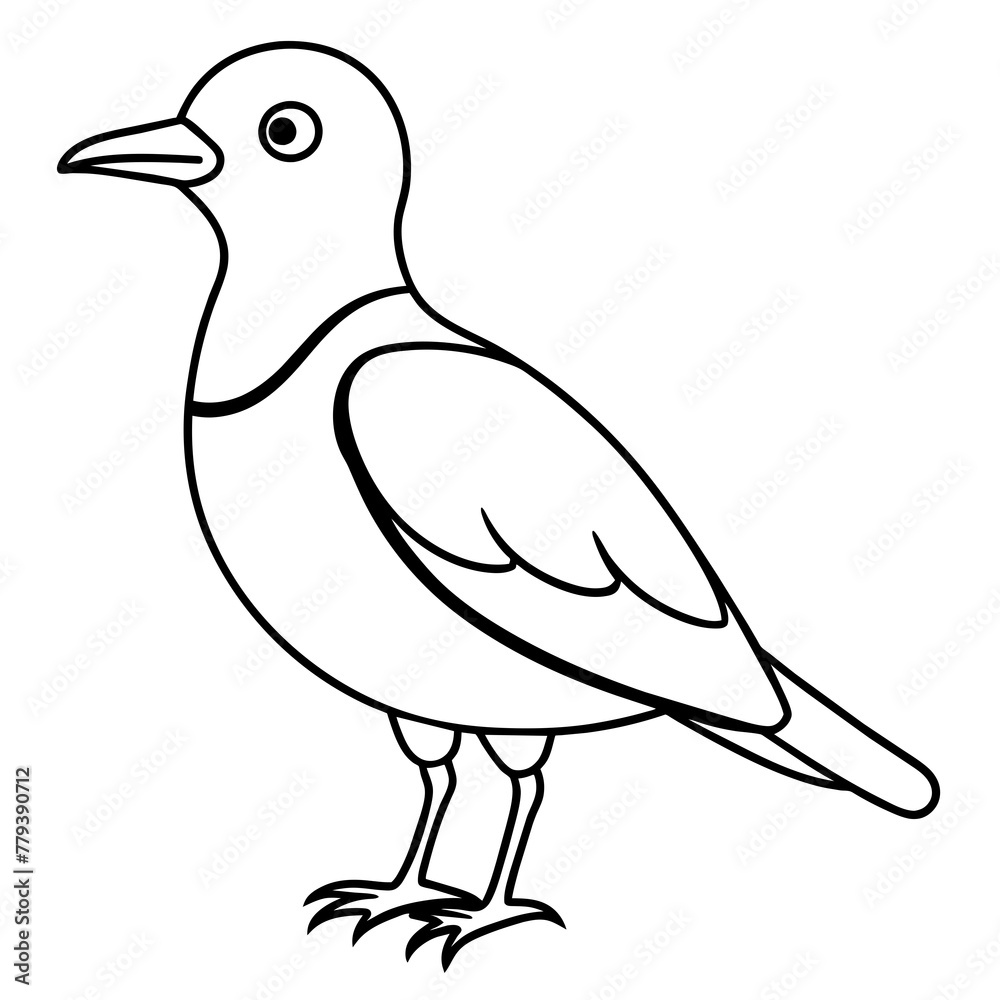 Bird vector illustration with line art. Bird vector illustration with line art.