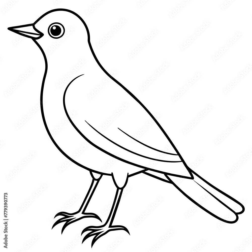 Bird vector illustration with line art. Bird vector illustration with line art.