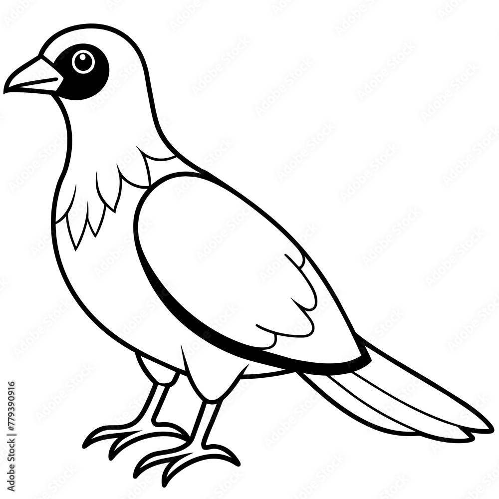 Bird vector illustration with line art. Bird vector illustration with line art.