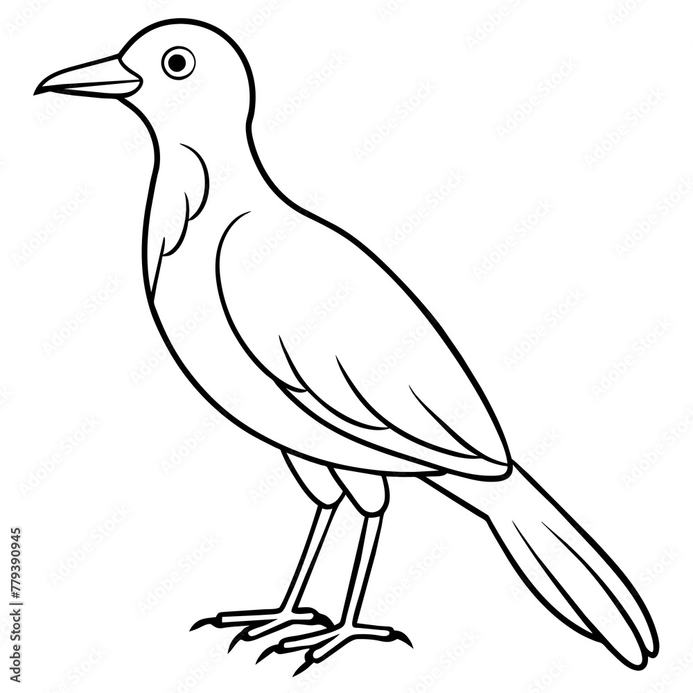 Obraz premium Bird vector illustration with line art.