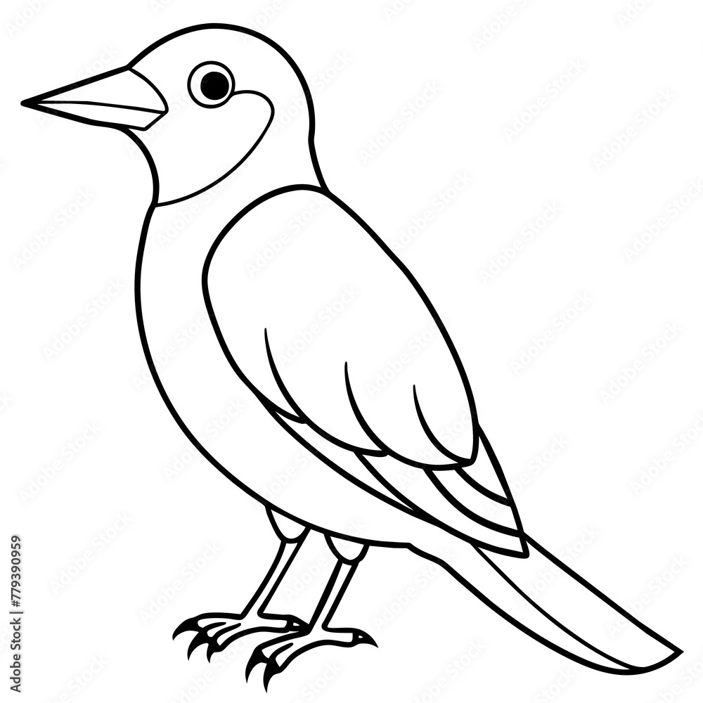 Bird vector illustration with line art. Bird vector illustration with line art.
