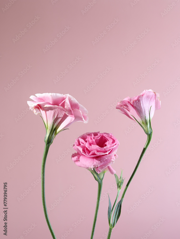 pink flowers