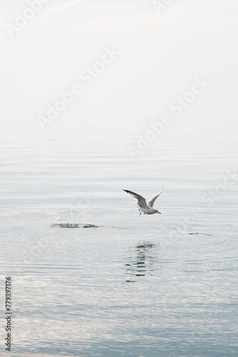 landscape beach lake with crystal clear water © Vajirawich