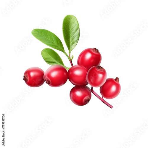 Red currant berry with leaf isolated on white background with clipping path