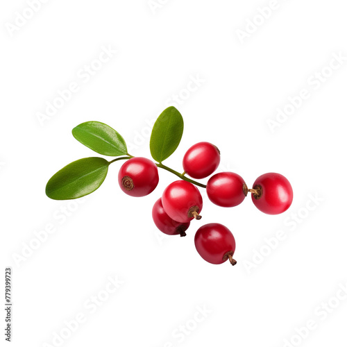 Red currant berry with leaf isolated on white background with clipping path