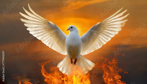 Pentecostal: White Dove in the Fire , the Symbol of Holy Spirit. © Daniel