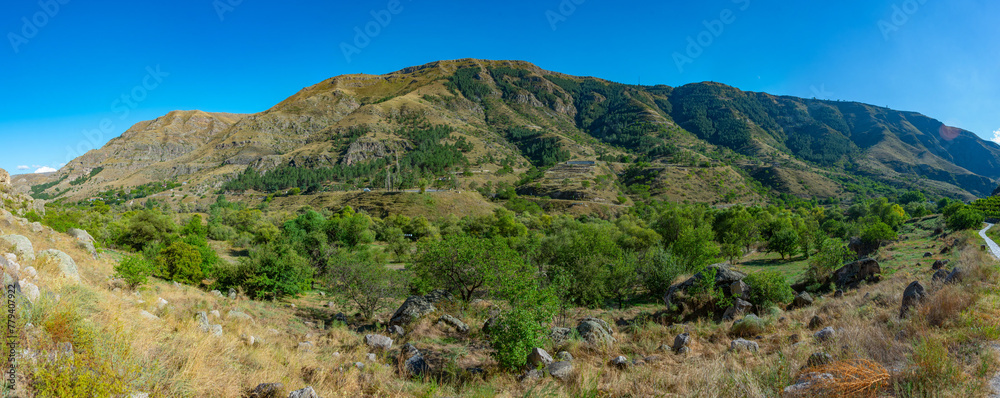 Obraz premium Panorama view of Kura river in Georgia
