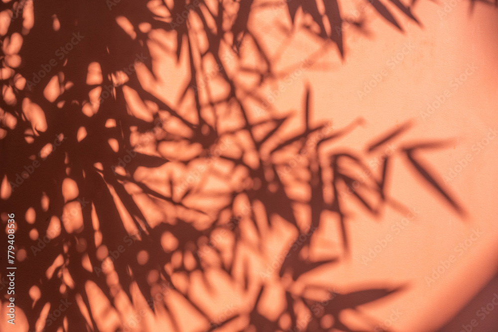 Fototapeta premium Bamboo leaf silhouette red wall background
