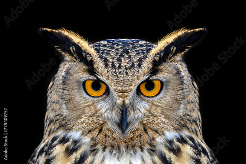 Owl looking big eyes out of the darkness close