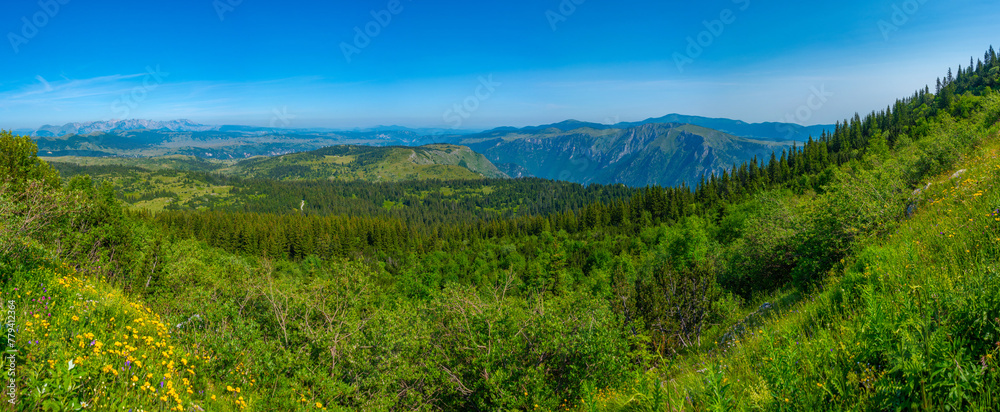 Tara river valley viewed from Durmitor national park in Montenegro - obrazy, fototapety, plakaty 