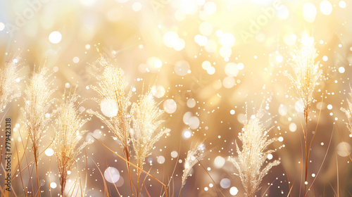 Beautiful abstract background with beige reeds, bokeh and light glitter in the air. Autumn nature landscape. Soft and dreamy in the style of nature