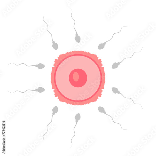 Sperm Cell to Egg Cell Icons